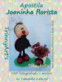Joaninha Florista